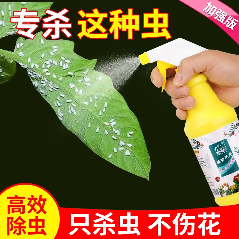 白粉虱专用花卉植物杀虫剂室内土壤绿植月季花蚜虫通用除虫