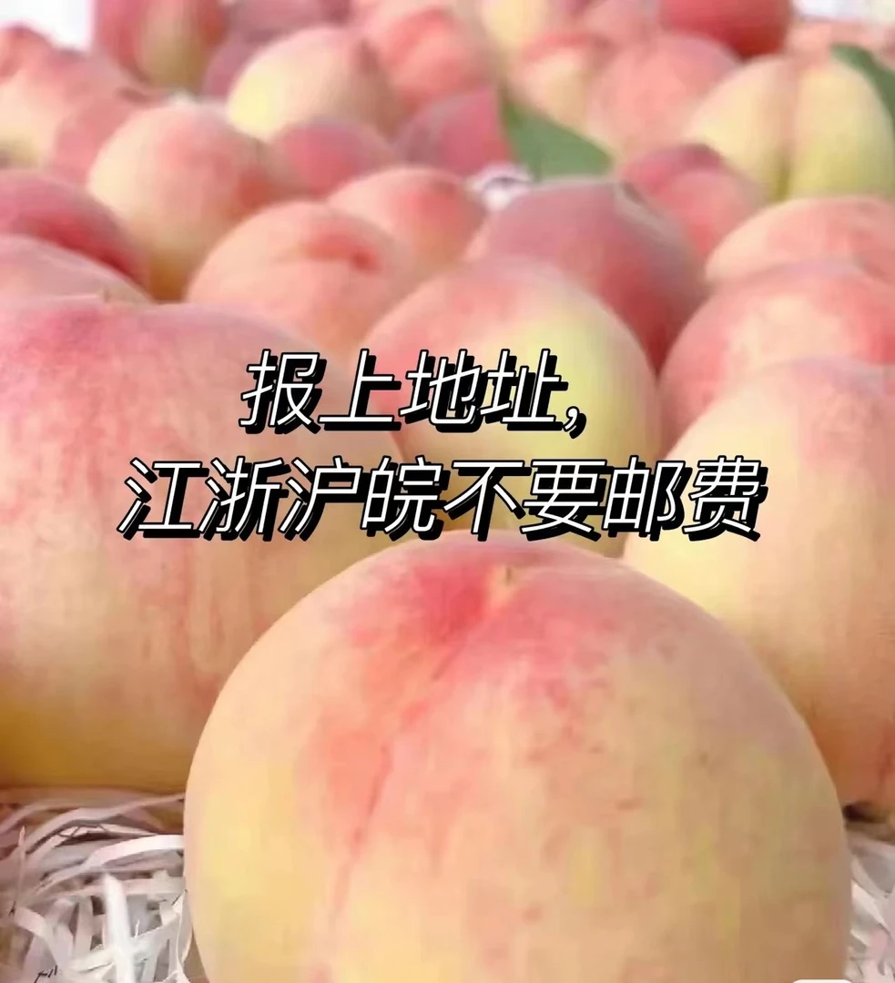 【5-6两】无锡水蜜桃  现摘现发  顺丰包邮