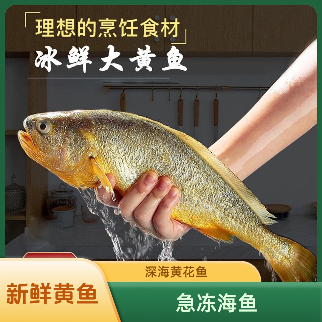 林蓝螺5条送1条黄花鱼深海鱼海鲜原产地直发 单条6两左右