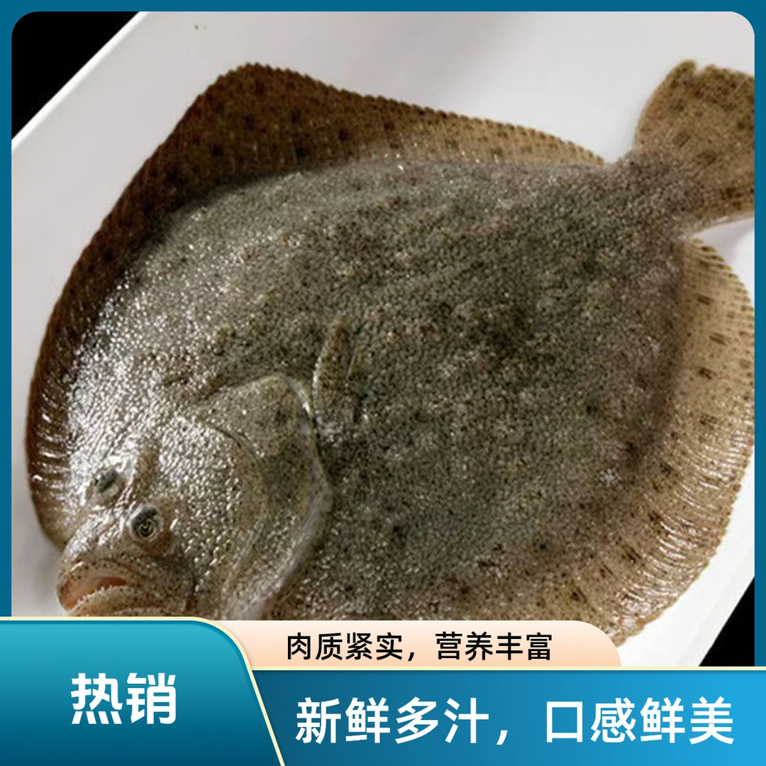 多宝鱼比目鱼鲜活速冻无碎刺无杂刺蒜瓣肉 肉质鲜嫩到手8条