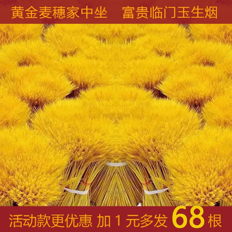 天然黄金麦穗大麦干花永生花摆件花束新年客厅摆放插花装饰品富贵