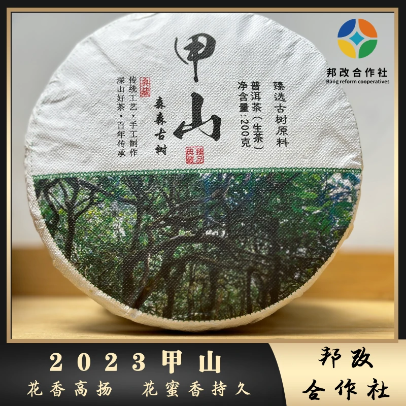 23年/甲山/古树春/200g饼/普洱生茶/森林韵/幽兰香/罗要成