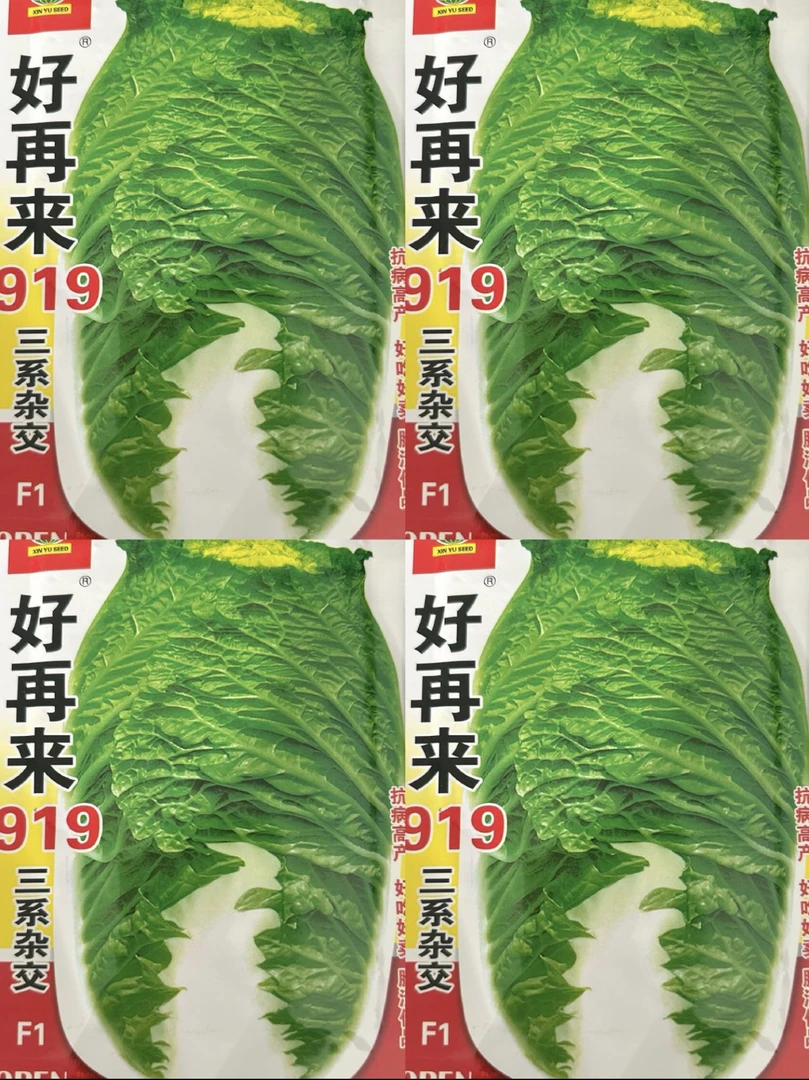 好再来919白菜籽20克