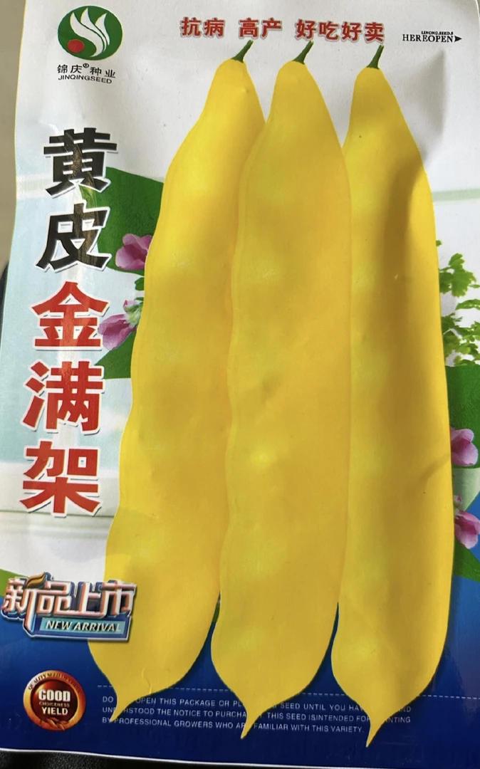 金满架豆角籽，，，