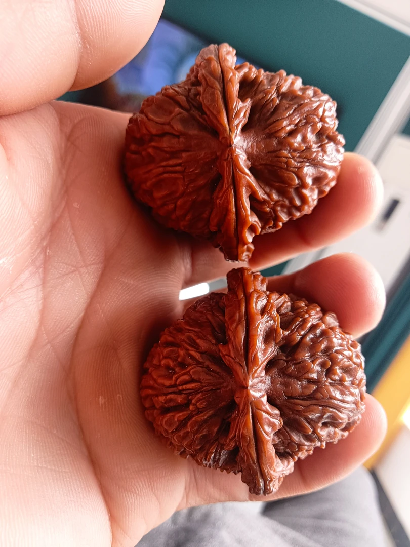 文玩核桃手把件白狮子玉化