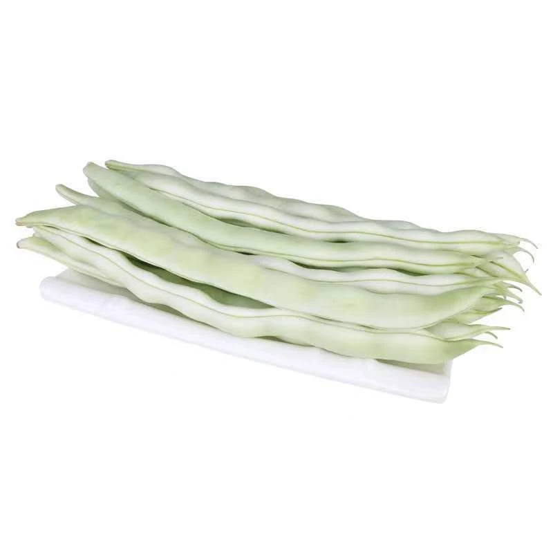 新鲜白不老豆角白芸豆现摘当季蔬菜白大架豆角白四季豆白豆角正宗