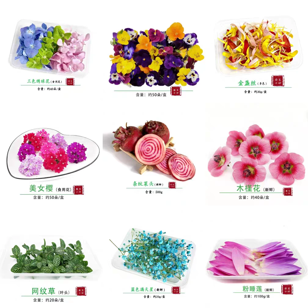 新鲜摆盘花草西餐日料冷菜新鲜盘饰苗菜花草集锦装饰点缀三色堇花