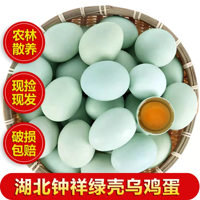 正宗农家新鲜土鸡蛋山林散养绿壳鸡蛋初生蛋虫草蛋乌鸡蛋鸡蛋