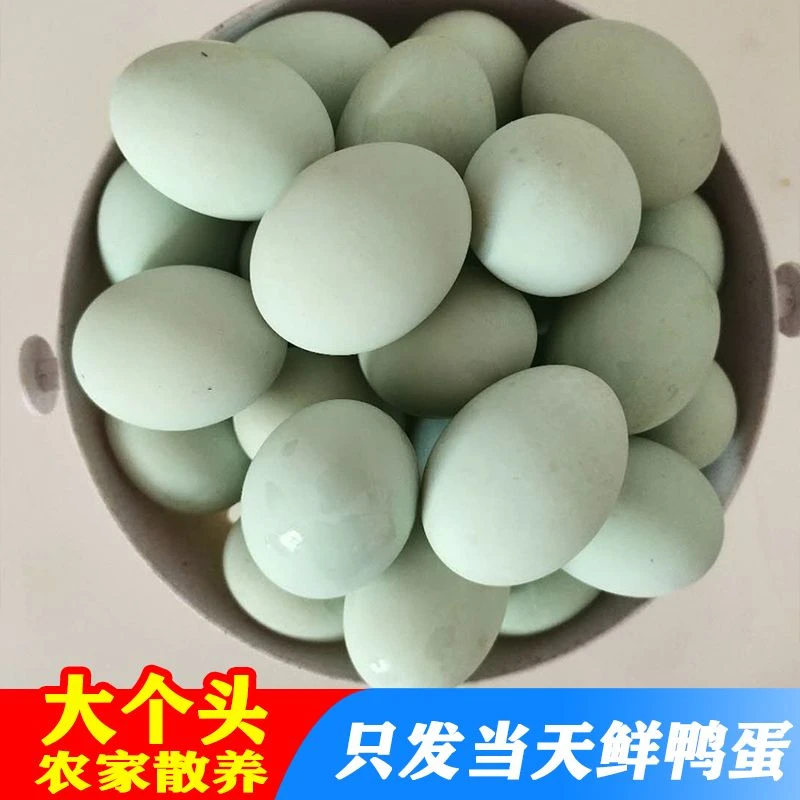 农家散养新鲜正宗鸭蛋现捡现发新鲜散养鸭蛋生大个鸭蛋新鲜鸭蛋鲜