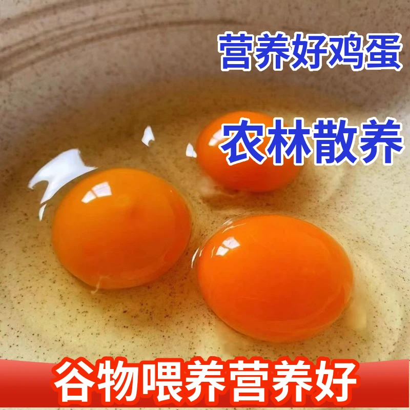 林间散养谷物鸡蛋新鲜林间散养鸡蛋现捡现发五谷喂养笨鸡蛋