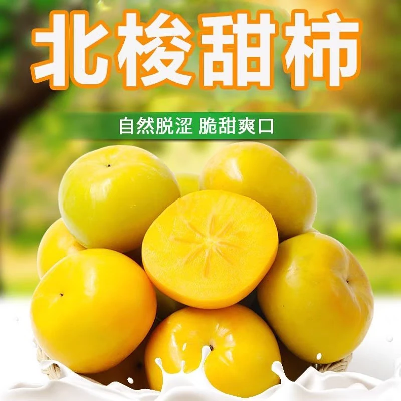 广东信宜北梭甜脆柿新鲜应季水果农家脆甜柿子1斤5斤8斤整箱包邮
