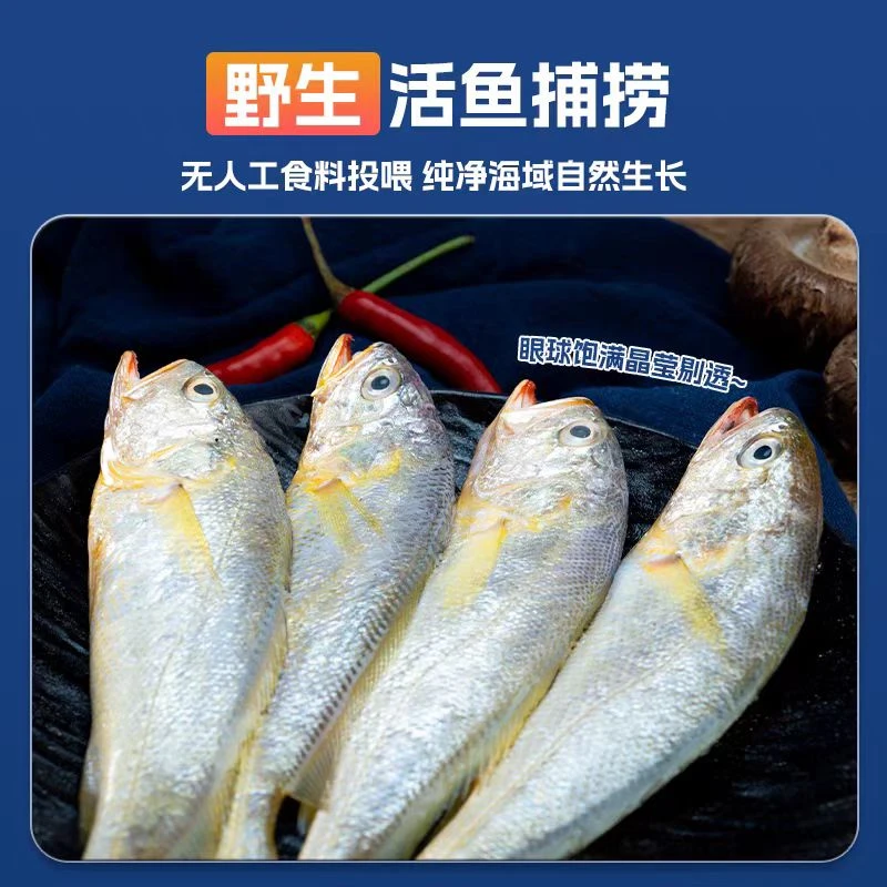 野生海捕小黄花鱼鲜活速冻蒜瓣肉鲜嫩黄花鱼顺丰包邮