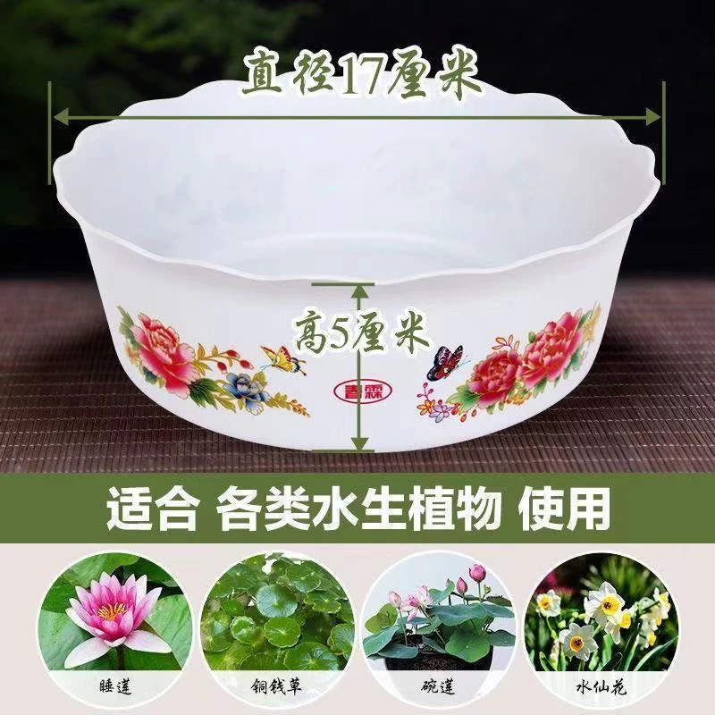 塑料水培盆水仙盆碗莲盆种苗花圆形花盆碗莲种子盆种球苗铜钱草盆