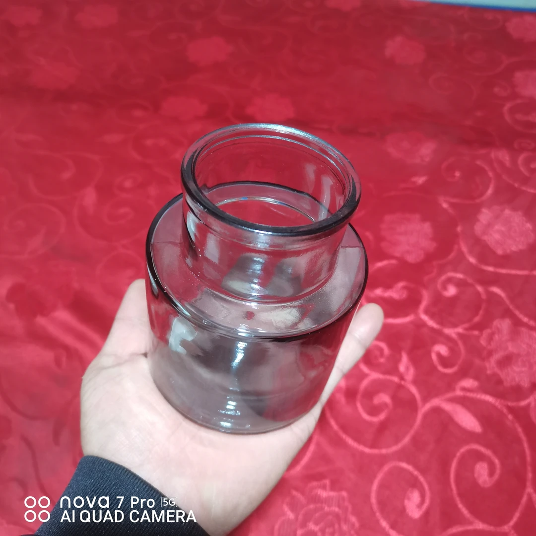 水培薄荷水培花瓶绿植