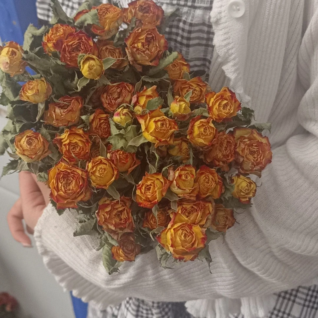 【富贵的花甸】眼线多头泡泡玫瑰（花苞不少于40个）