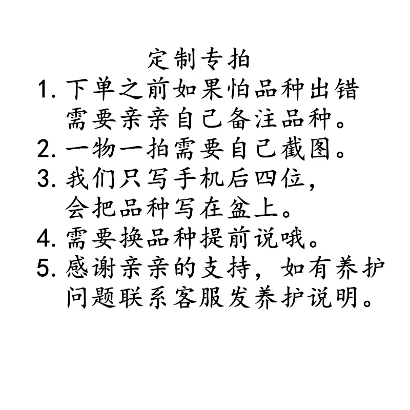 铁线莲 直播间 直播链接