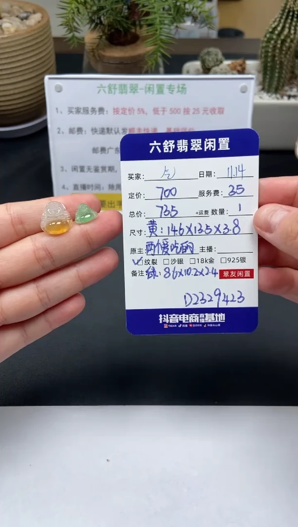 【闪购商品】翡翠颈饰未镶嵌D2329423