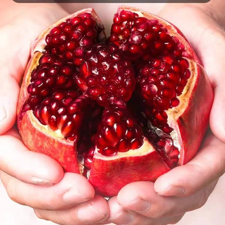 四川会理突尼斯软籽石榴新鲜水果石榴现摘现发鲜甜多汁多仓发货