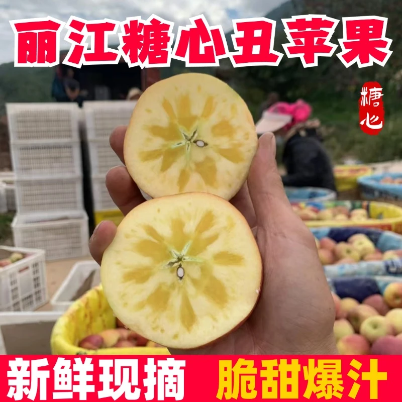 2024年云南丽江宁蒗冰糖心丑苹果新鲜现摘脆甜孕妇水果产地直发