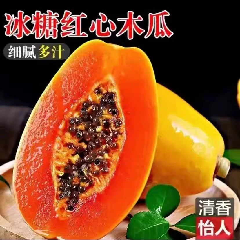 【雷州红心木瓜】3斤新鲜水果包邮当季树上产地直发正宗冰糖木瓜