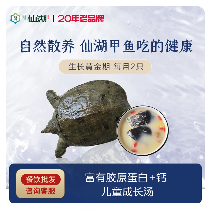 生态甲鱼改价专区