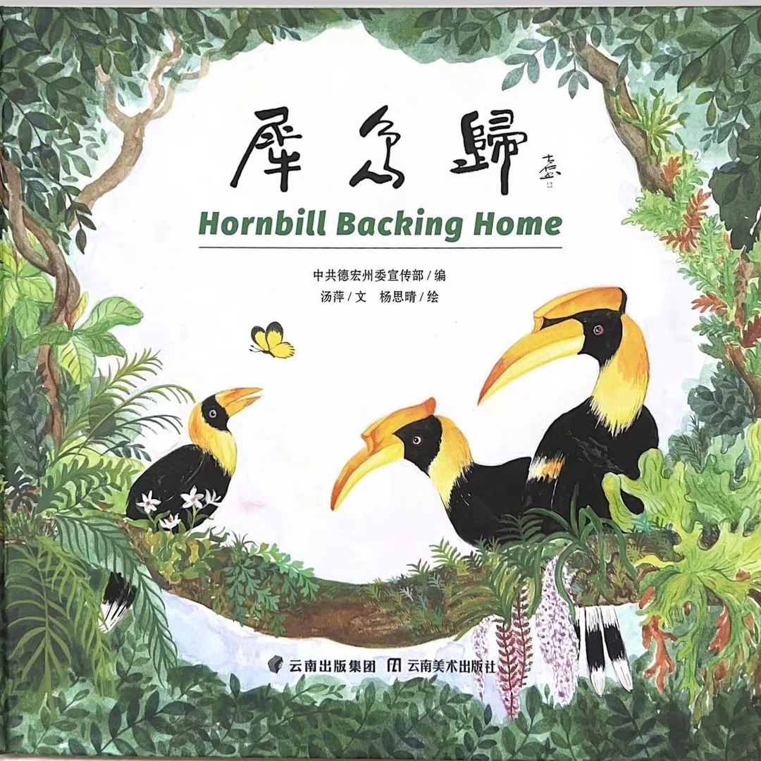 [德宏新华01]犀鸟归（带你走进犀鸟的世界）