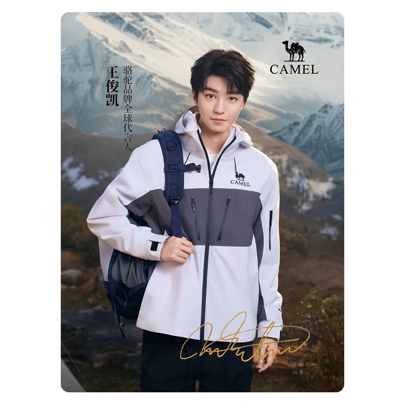 王俊凯王者凯甲系列小卡套装骆驼品牌全球代言人