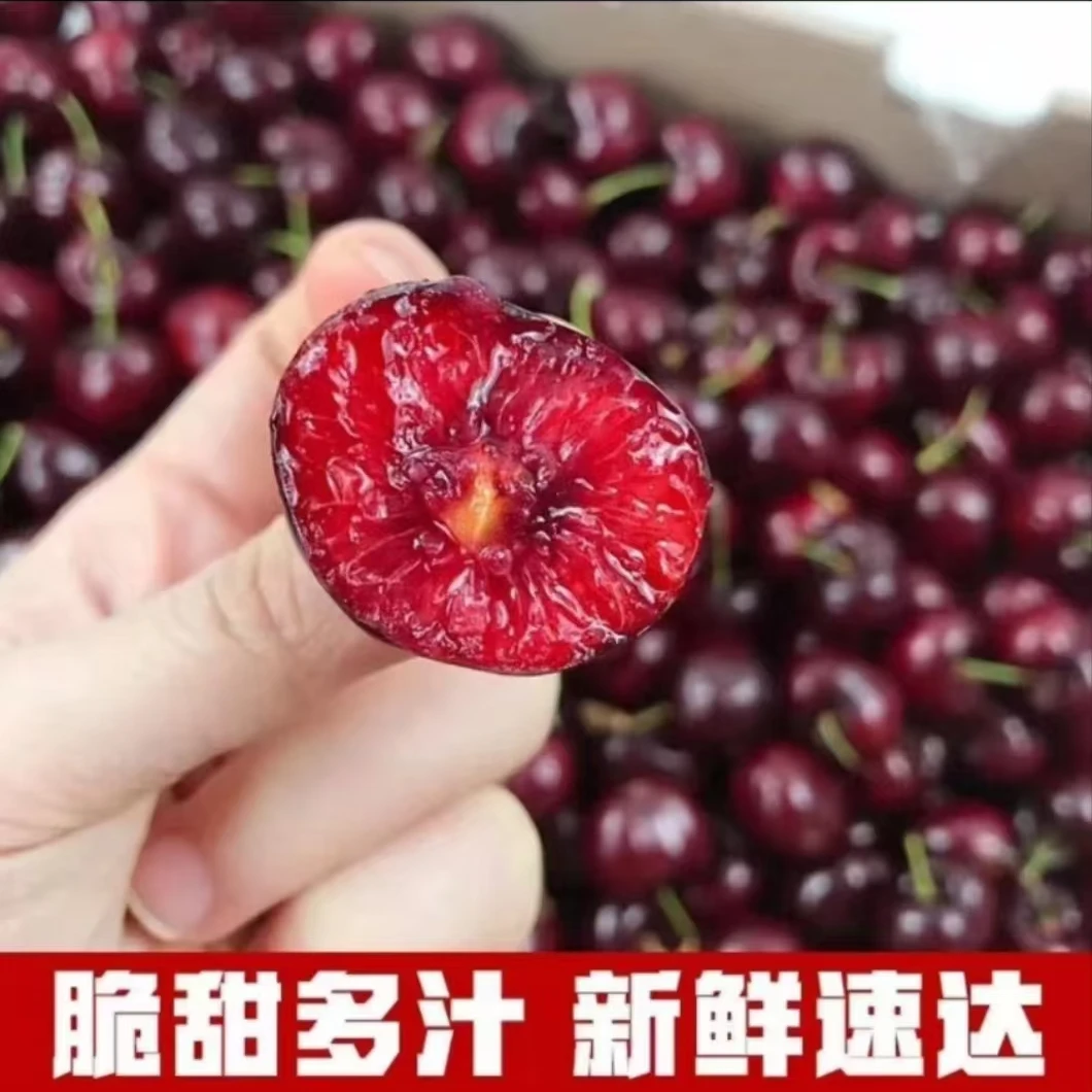 D1【顺丰空运】智利车厘子进口新鲜应季水果桑提娜1J樱桃2斤礼盒