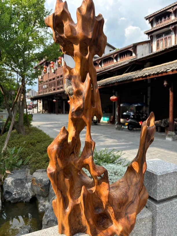 四川小叶金丝楠木