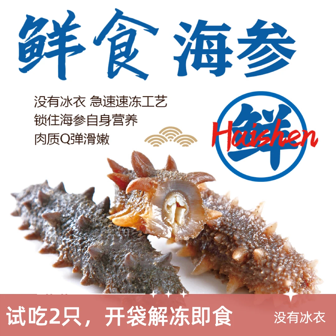 鲜食海参 到手2斤 共20-24只 顺丰发货 开袋即食 坏单包赔