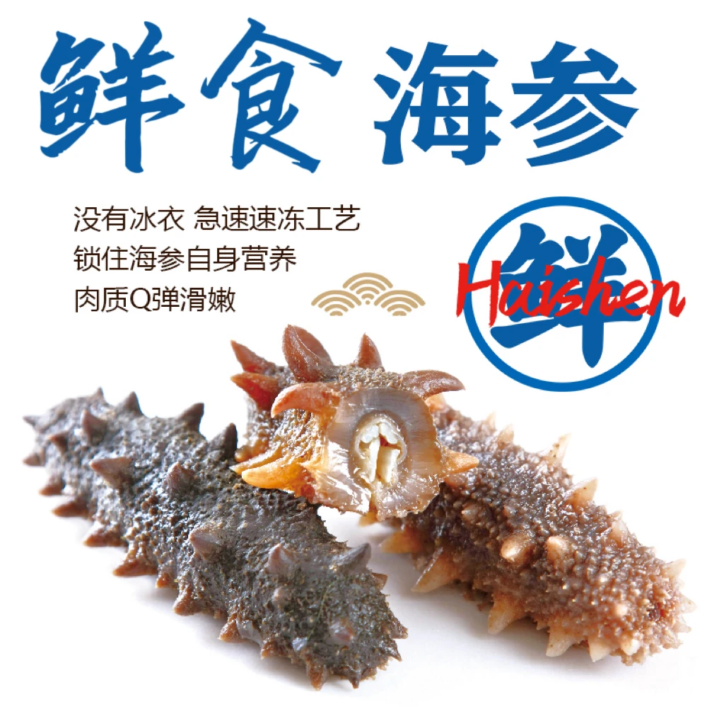 鲜食海参  到手2斤 共20-24只  开袋即食 顺丰发货  坏单包赔