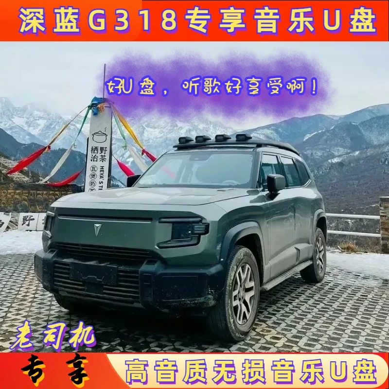 【深蓝G318专用】HIFI高音质深蓝g318专车专用无损车载音乐U盘