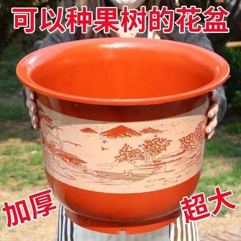 （拍一发八）M加厚大号树脂花盆仿陶瓷果树清仓大花盆塑料花盆种树