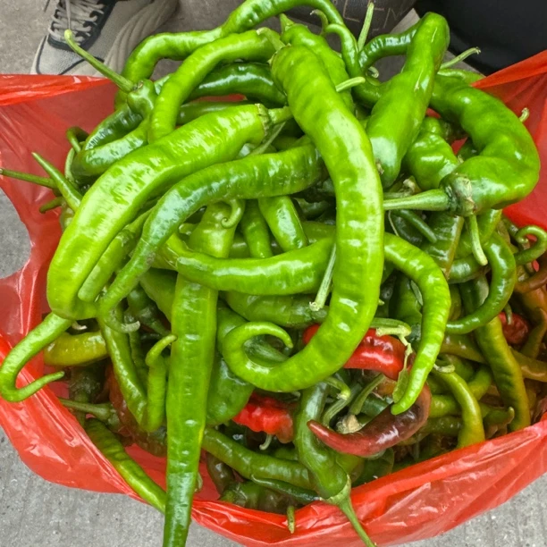 湖南秋辣椒新鲜刚出炉湖南剁辣椒就是用这种辣椒做的