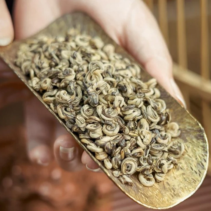 珍品玉螺王茉莉花茶10窨浓香型耐泡高品质秋季新茶
