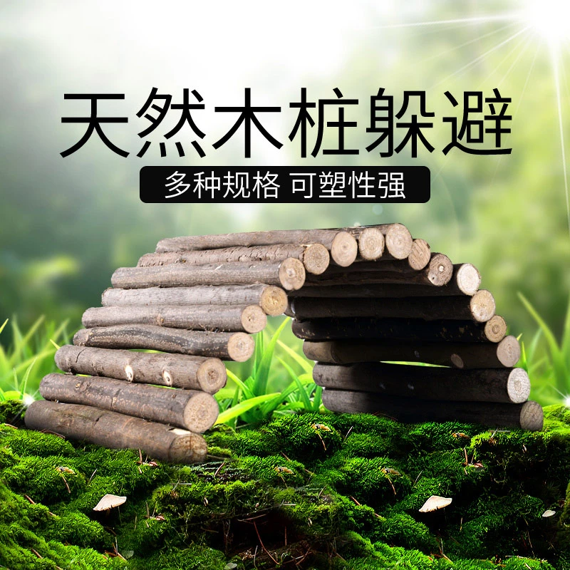 爬虫躲避屋实木棍木棒diy围栏爬梯可变形蜥陆龟蛇陆龟蜴爬宠躲避