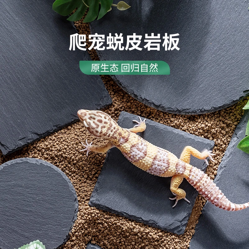 爬宠爬虫造景岩板装饰守宫蜥蜴蜕皮石板垫材黄缘龟天然石板食盆