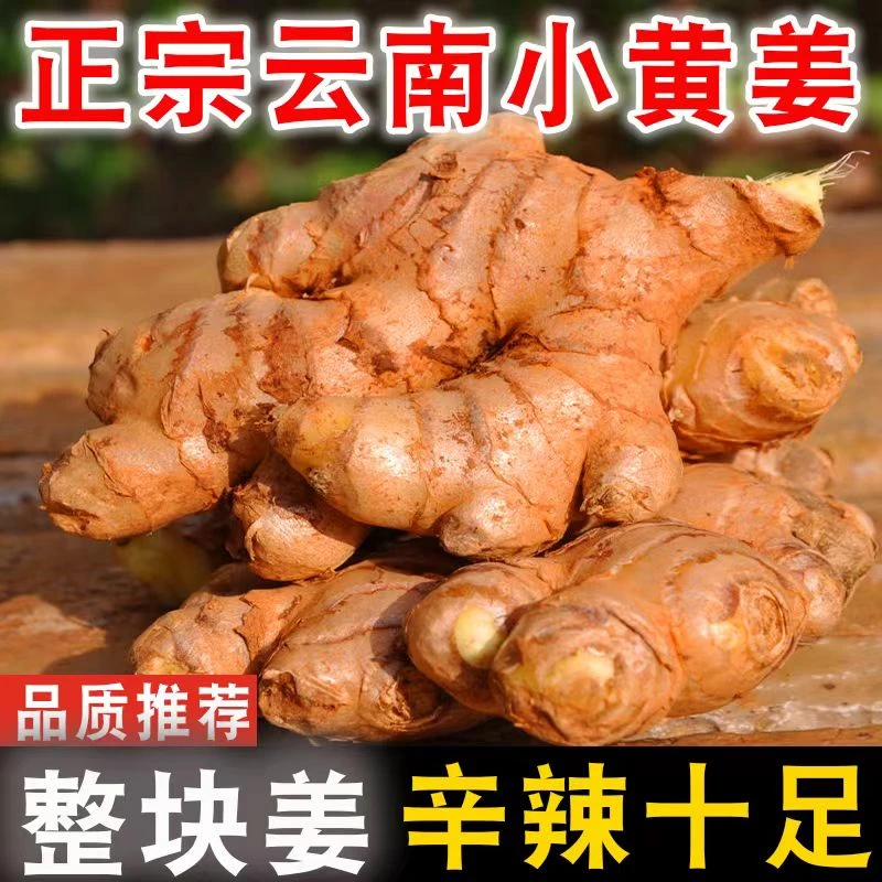 【两年老姜】云南小黄姜农家自种生姜老姜新鲜现挖高山嫩姜蔬菜