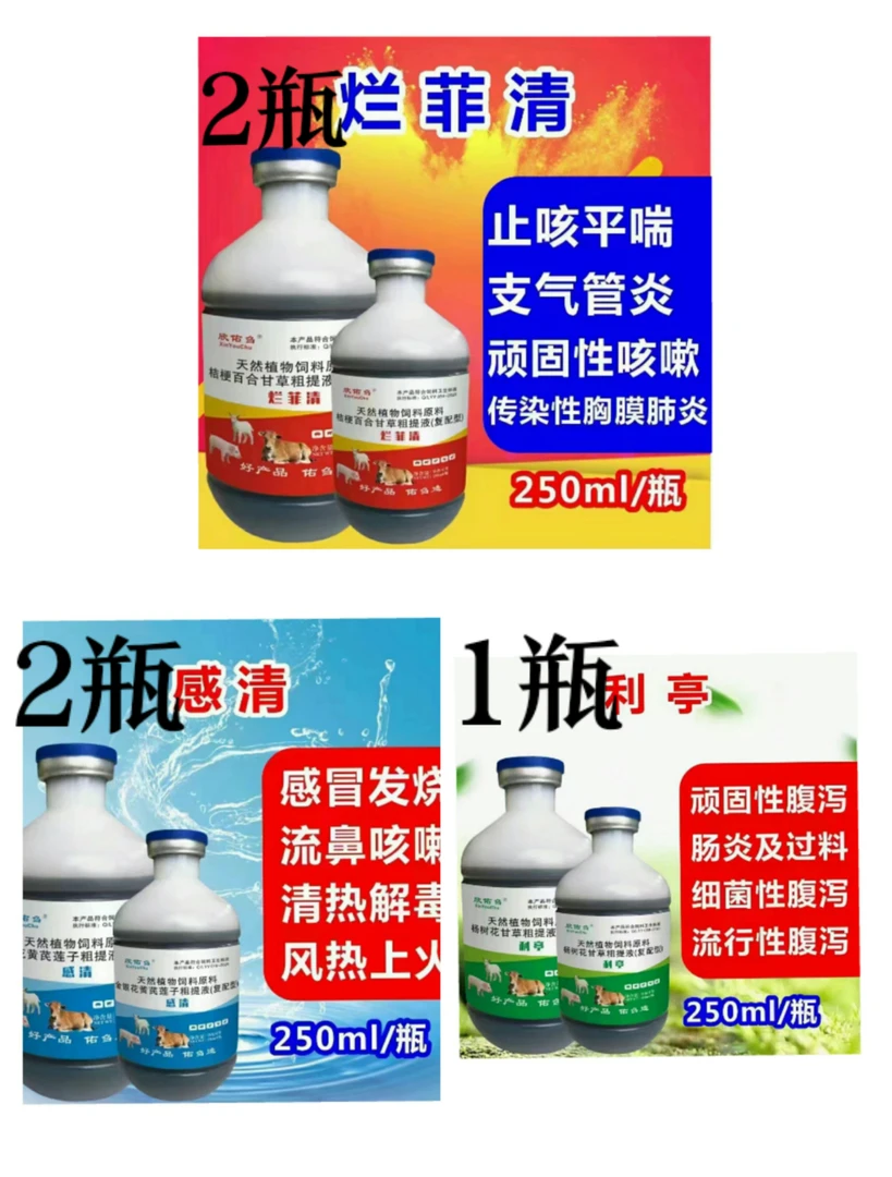 烂肺清感清利亭组合