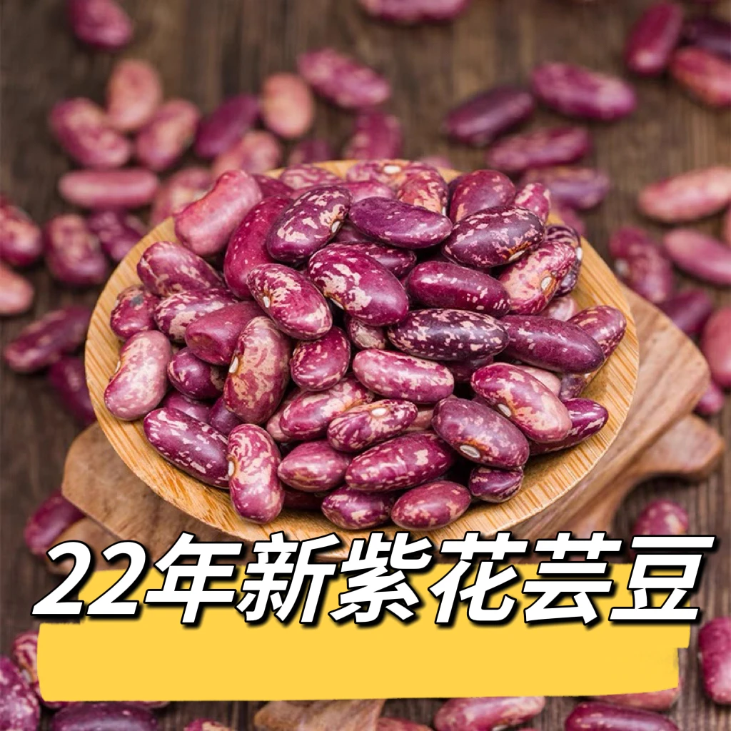 23年新芸豆紫花饭豆5斤2斤