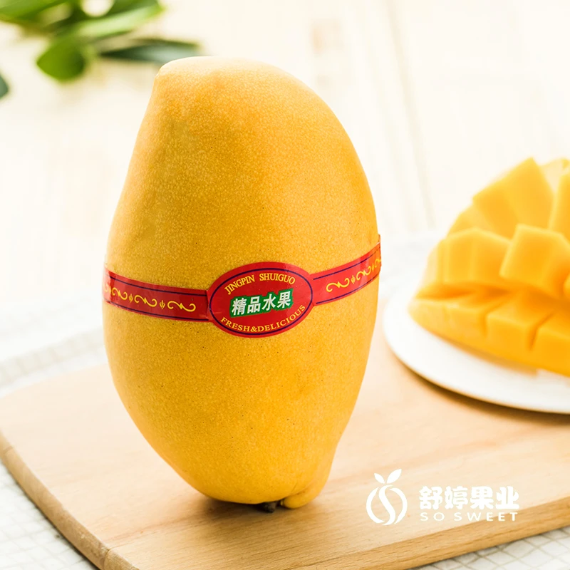 水仙芒 约500-550g/只