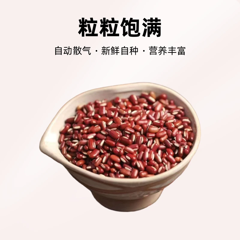 食用广东阳春双滘饱满山地新鲜自种赤小豆煲汤煮粥营养红小豆一斤