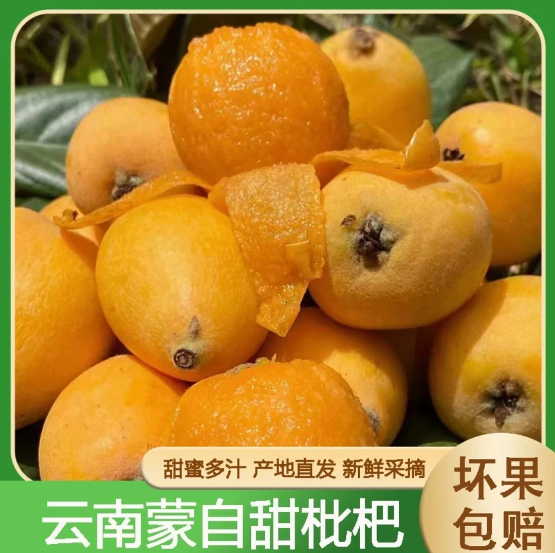 【蒙自枇杷】云南当季新鲜水果包邮皮薄肉厚果香浓郁2/3/4斤清甜
