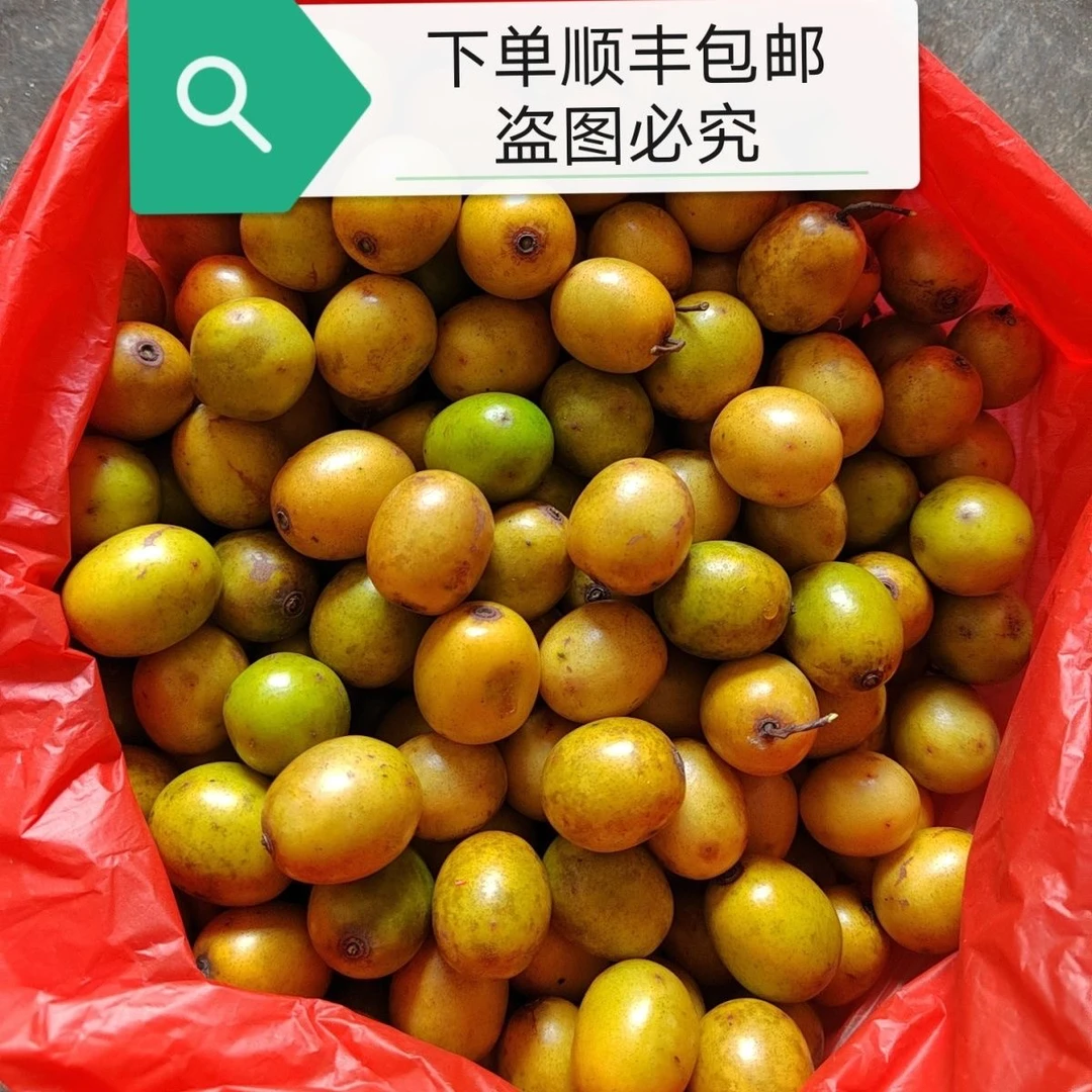 广东野山种植酸枣鼻涕果新鲜五眼果孕妇水果南酸枣黄酸枣青酸枣子