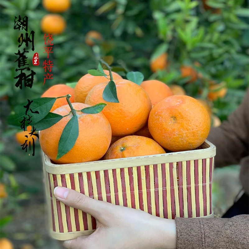 广东【正宗潮州柑】潮汕蕉柑特产水果宜昌椪柑沃柑耙耙柑橘子3斤5斤
