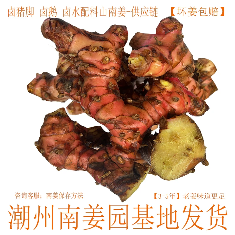 山姜老南姜新鲜潮汕南姜餐饮商用南姜猪脚饭店牛羊肉去膻3年老姜