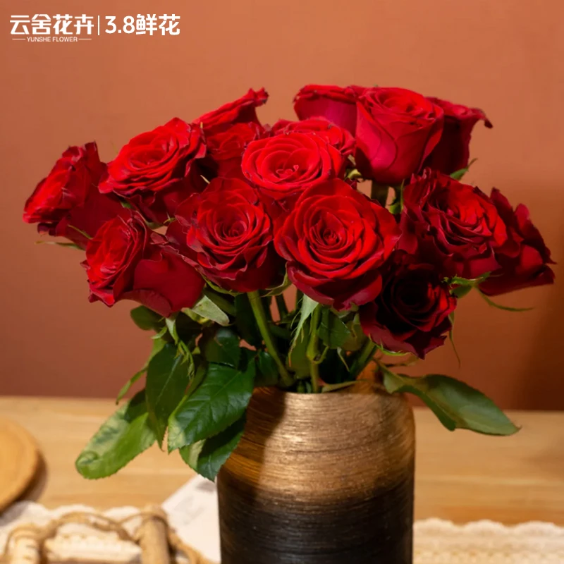 【云舍花卉】高品质红色单头玫瑰源头基地直采直发