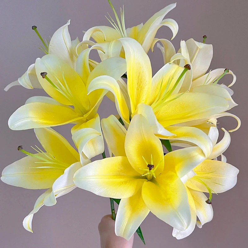 【云舍花卉】黄金甲百合任意两单或以上包邮基地直发鲜切花