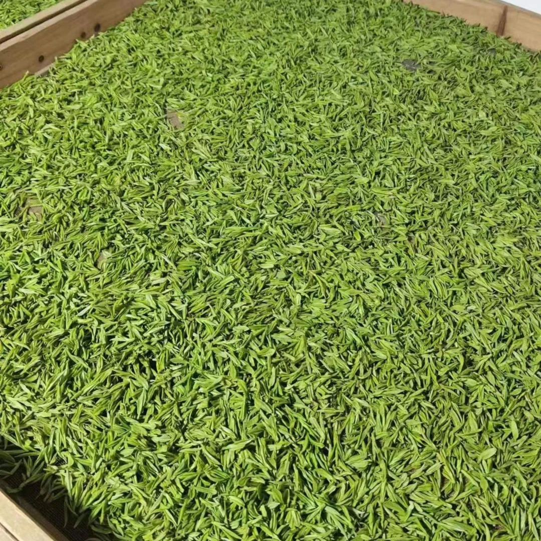 【临时链接福利茶151】2024新茶枫璟白茶高山原产地安吉白茶