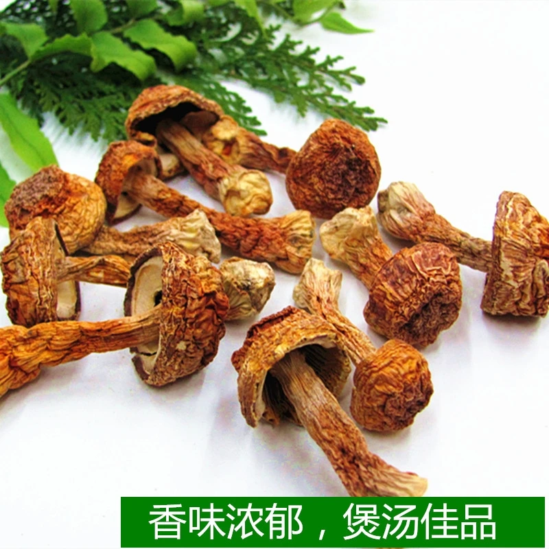 【主播推荐】长白山原产地姬松茸  250克